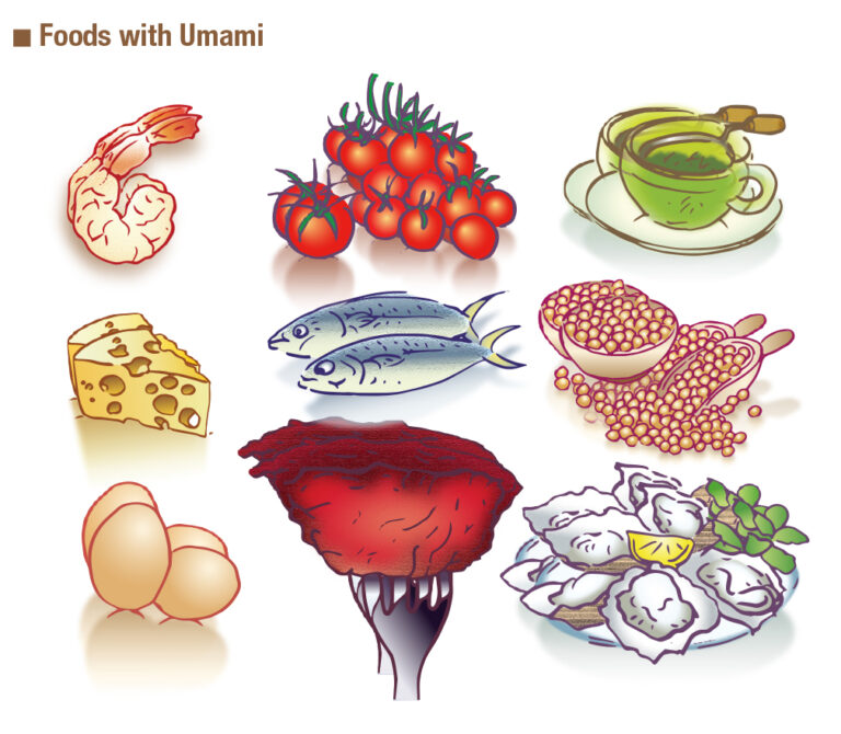 Why Umami Might be More Important Than You Think