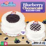 Blueberry Cheesecake Blizzard Cake_launch post