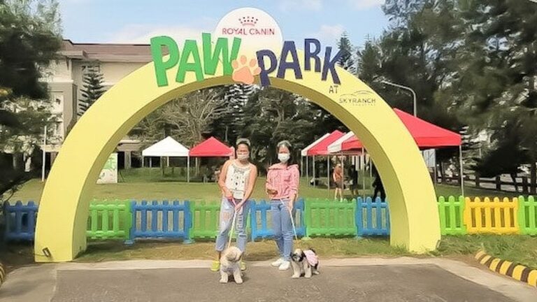 Sky Ranch Tagaytay is first outdoor amusement park  to receive  Safety Seal   