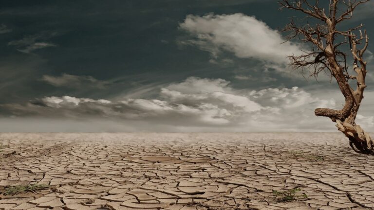 Climate change increases the risks of catching illnesses