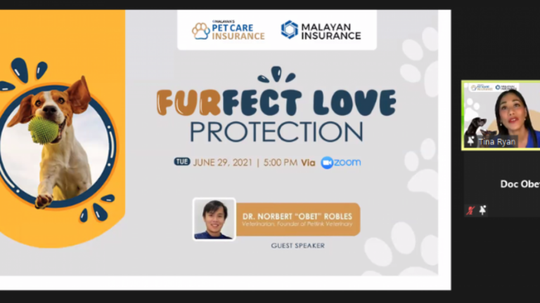 Providing the FURfect Love and Protection to Our Dogs