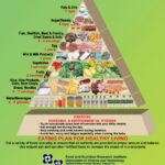 01 Food Pyramid for Lactating Women by FNRI