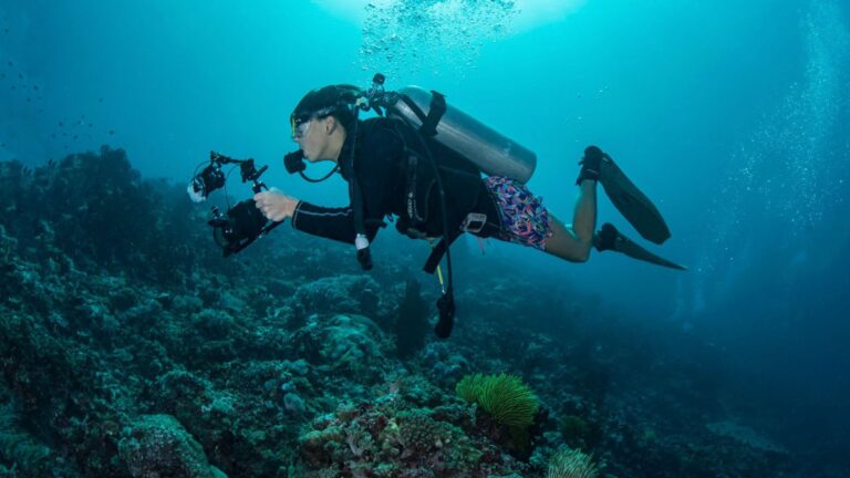 17-year old photographer launches book for the benefit of WWF