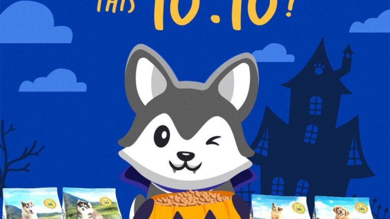 Celebrate October with Maxime at the 10.10 online sale!