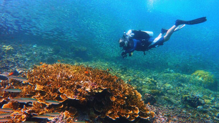 PH cited world’s top dive destination anew in 2021 World Travel Awards