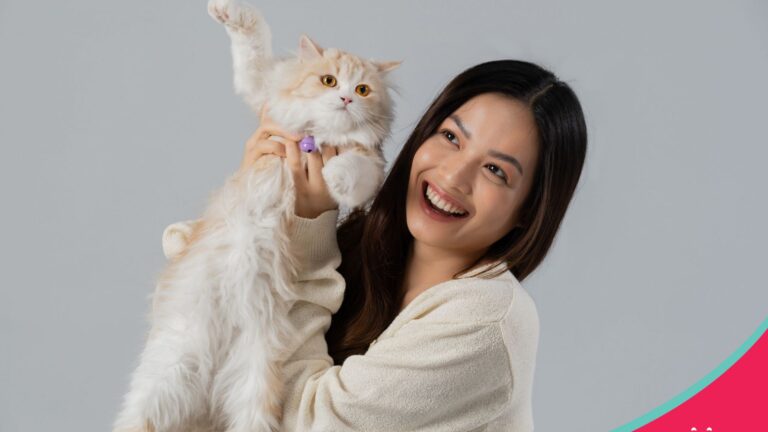 Maxime introduces a new pet food line for cats!