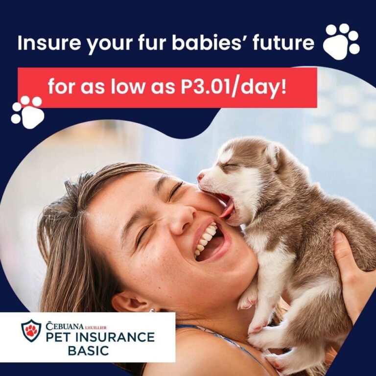 Protect the health of your fur babies with Cebuana Lhuillier Pet Insurance