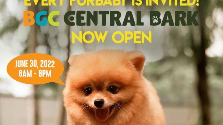 More off-leash, tail-wagging fun await doggos at BGC Central Bark 2