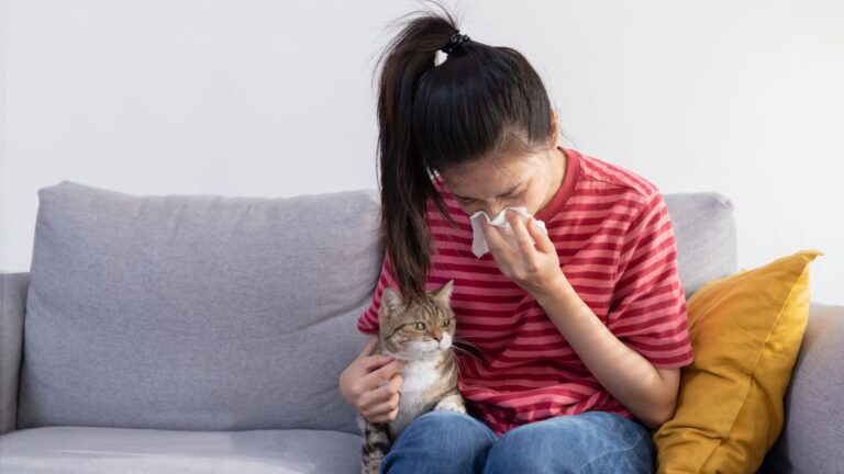 Daily use of maintenance inhalers results in better asthma control
