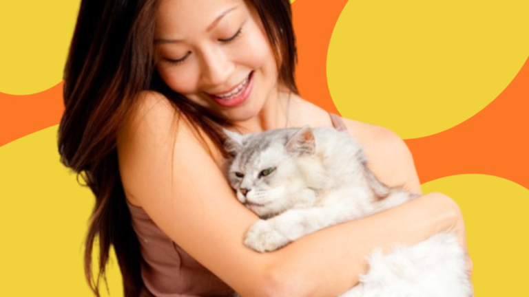 Simple guide in choosing the right food for your feline friend