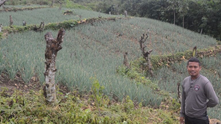 Farmers Affected by Typhoons Odette received Extended Support from Jollibee Group Foundation