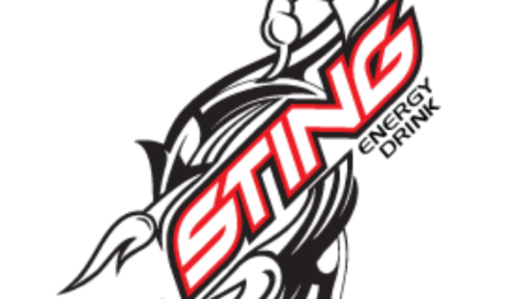 Sting powers young Filipino professionals in forging their careers  