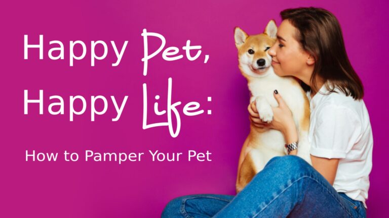 How to Pamper Your Pet