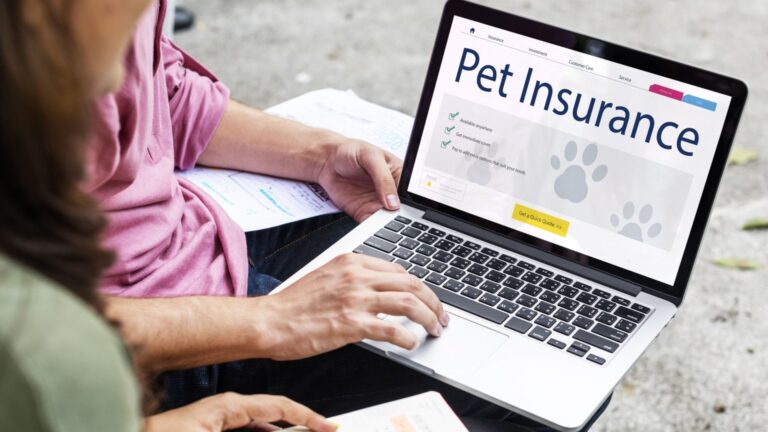 Tips for new and seasoned pet owners on how to keep happy, healthy pets