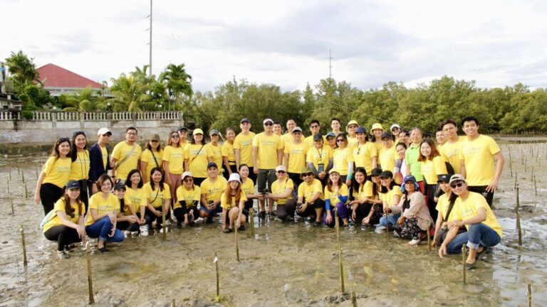 Cebu Pacific, Ramon Aboitiz Foundation Rehabilitate Mangroves in Cebu    