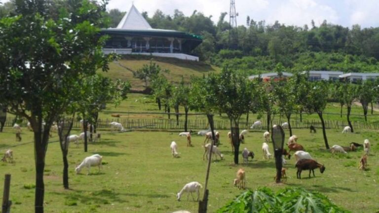 Iloilo Eyes To Build More DOT-Accredited Farm Tourism Sites