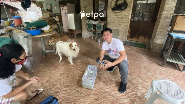 917Ventures’ PetPal Targets US$1.6 Billion Pet Care Market in SEA – Expands Access to Essential Pet Care for Filipinos   