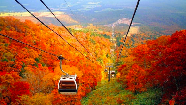 Fall In Love With Japan:  Places to visit for a Magical Autumn