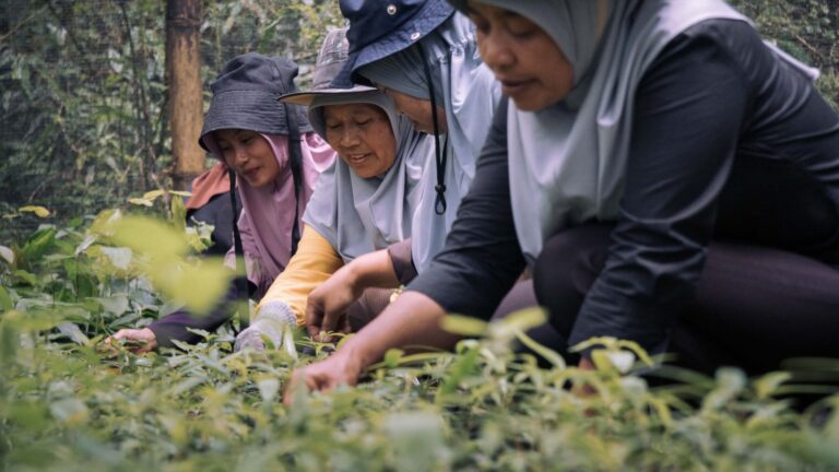 IWD 2024: Empowering Women Leadership in Conservation