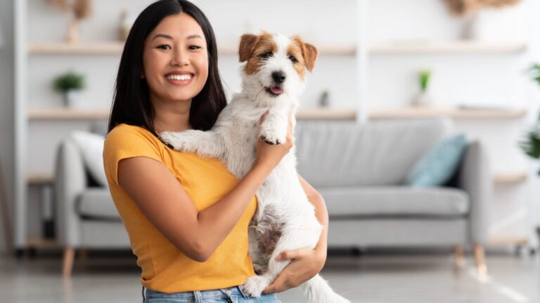 Protect your pets from the risks of changing weather with Igloo’s Pet Insure