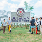 KV – Bulacan Dragon Fruit Depot