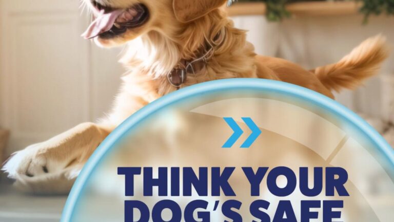 Is your dog guarded from the next parasites?  Remember that prevention is always better than cure when it comes to canine parasites