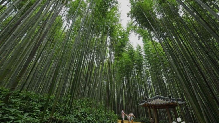 Hidden Gems in Japan and South Korea: Must-Visit Spots for Filipinos in 2025