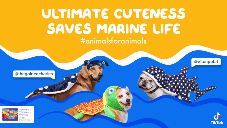 Pet-influencers to the rescue: Cuteness for a cause!