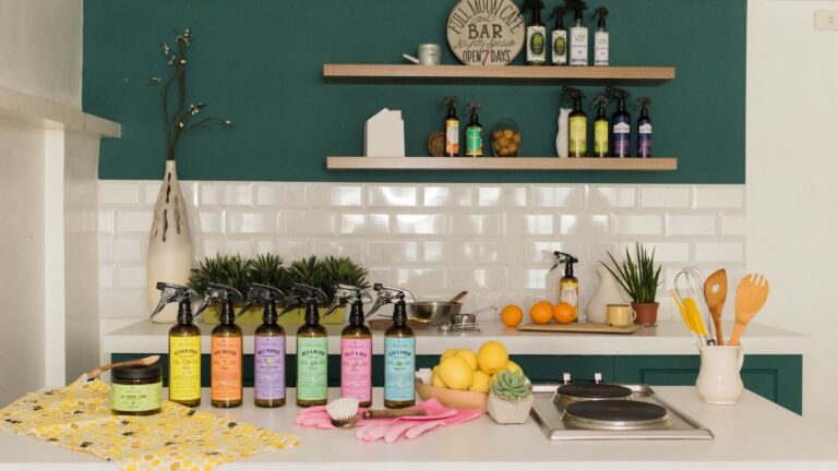 Theodore’s Home Care Empowers Women With All-Natural and Sustainable Cleaning Training