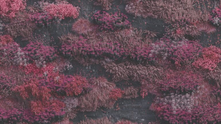 Sleep Token unleashes highly anticipated album  Even In Arcadia   